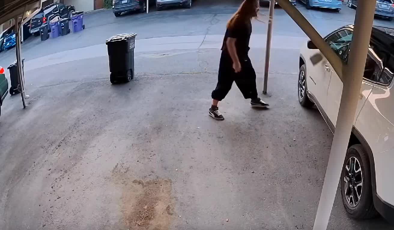 Police searching for suspect caught on camera damaging cars in Denver ...