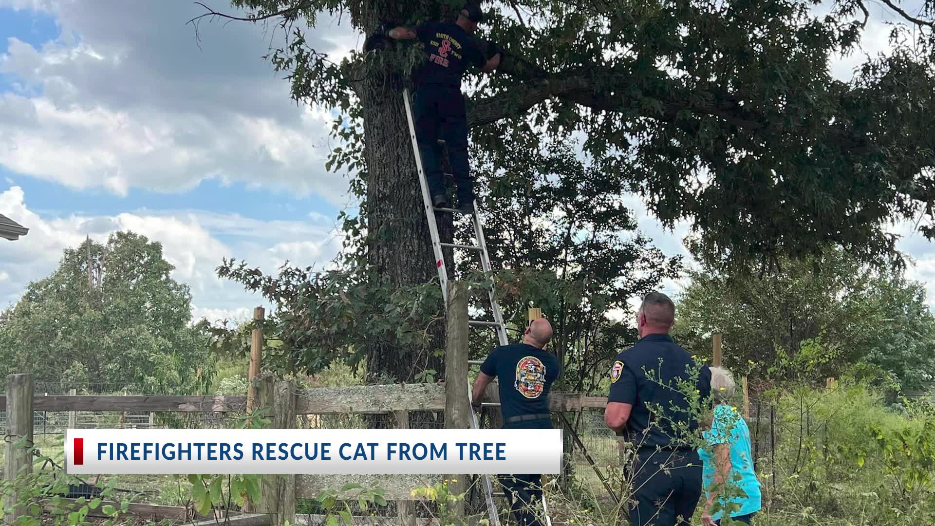 KETK Top Headlines Sept. 25